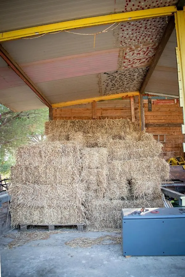 Spalla Country Valderice