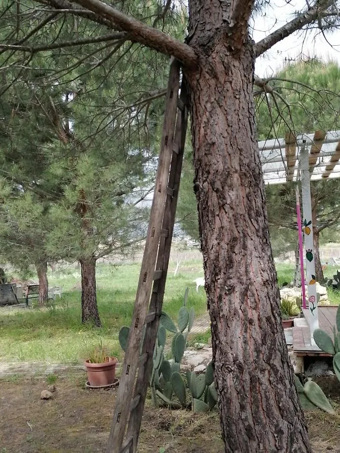Spalla Country Valderice Italy