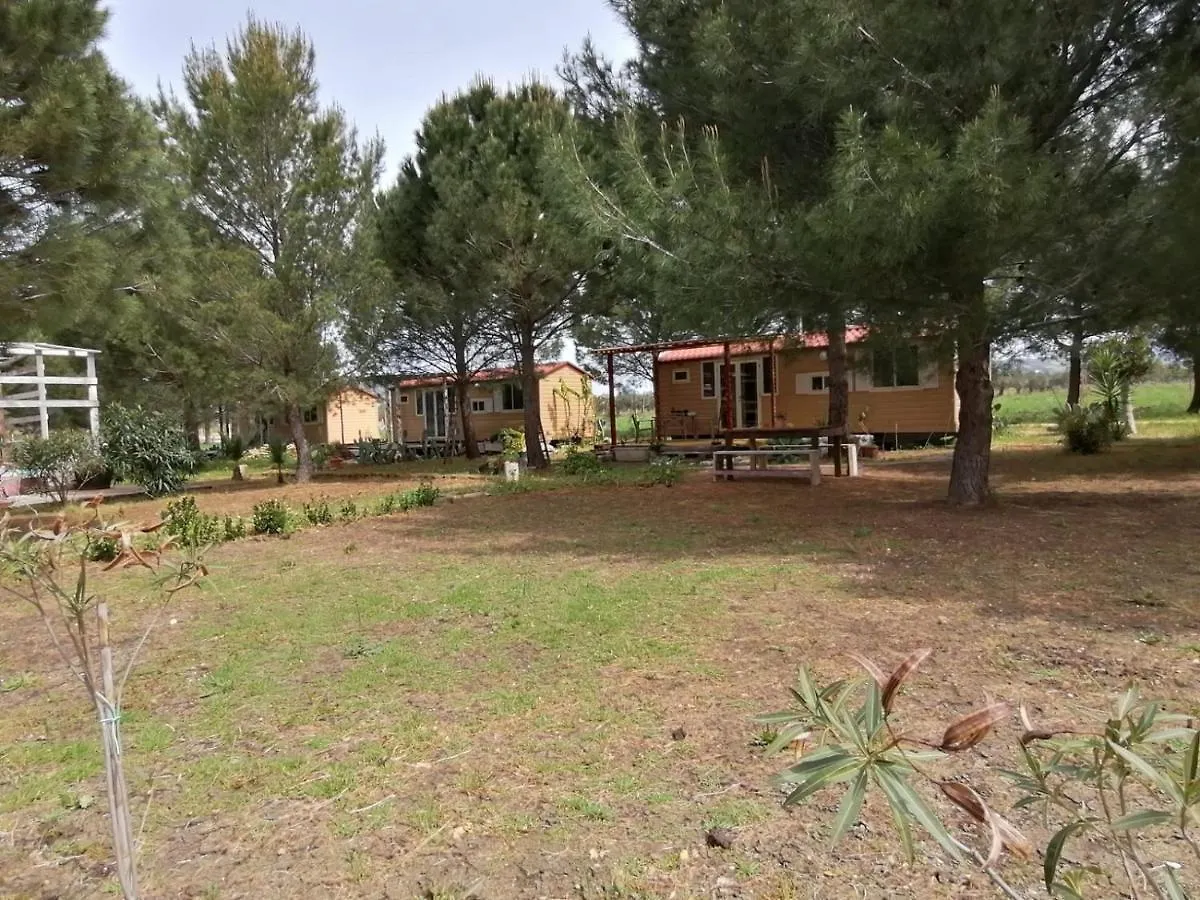 Spalla Country Valderice